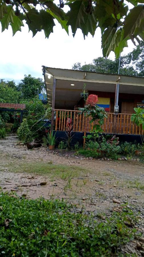 Hostal Cano Nevera La Macarena Dış mekan fotoğraf