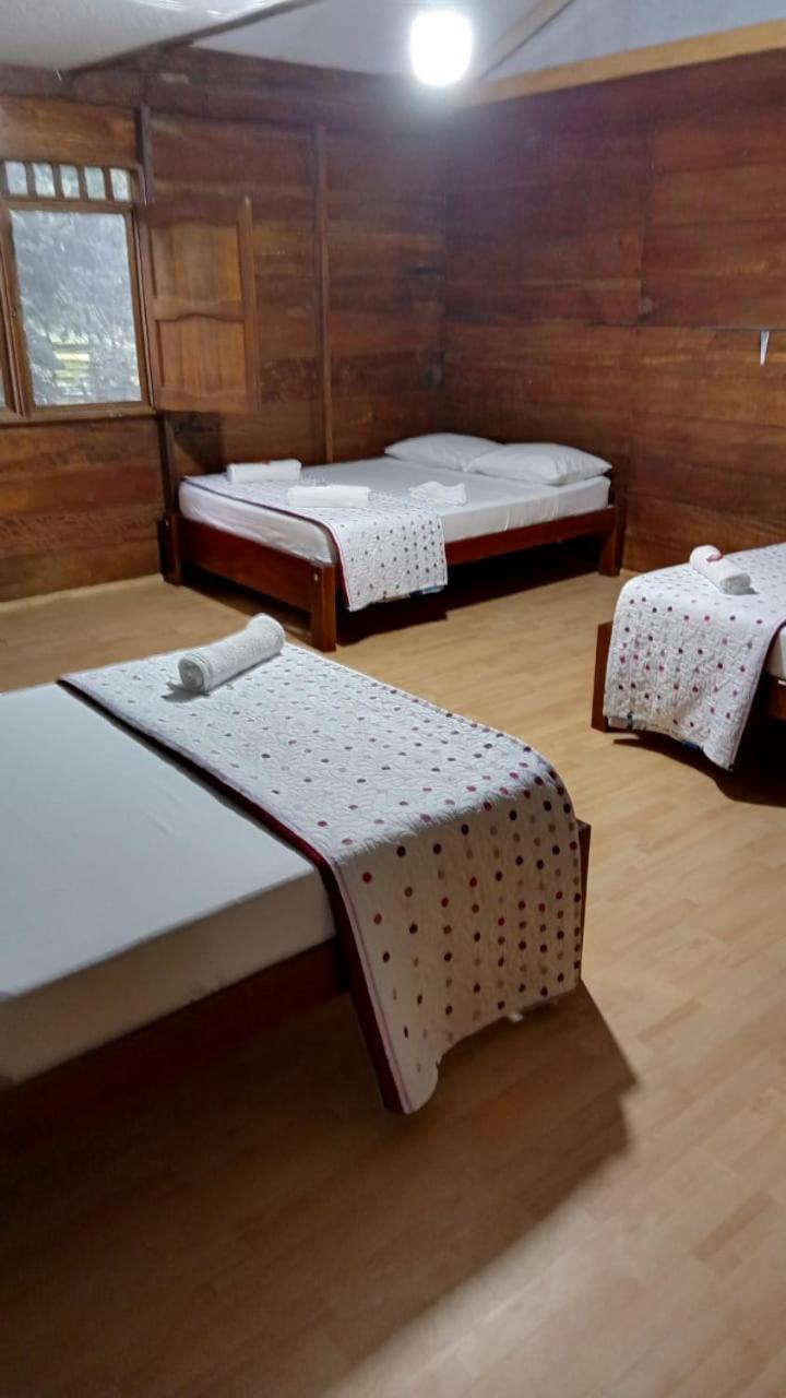 Hostal Cano Nevera La Macarena Oda fotoğraf
